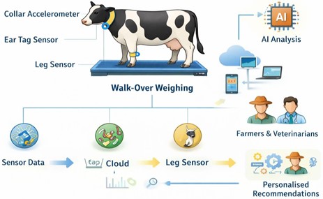 Overview of sensor-based and digital tools enabling continuous, animal-level data collection..jpg
